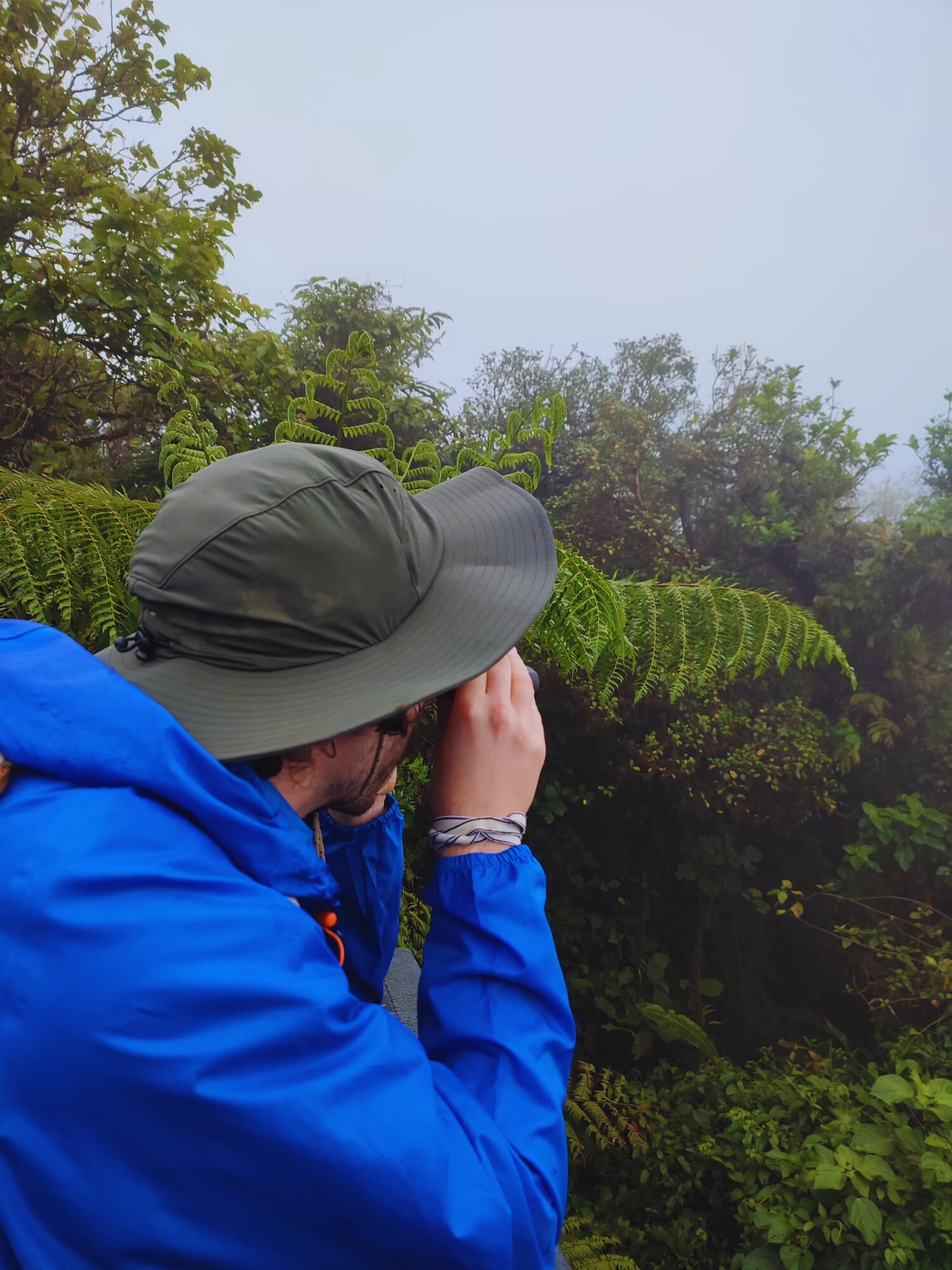 Observación de fauna