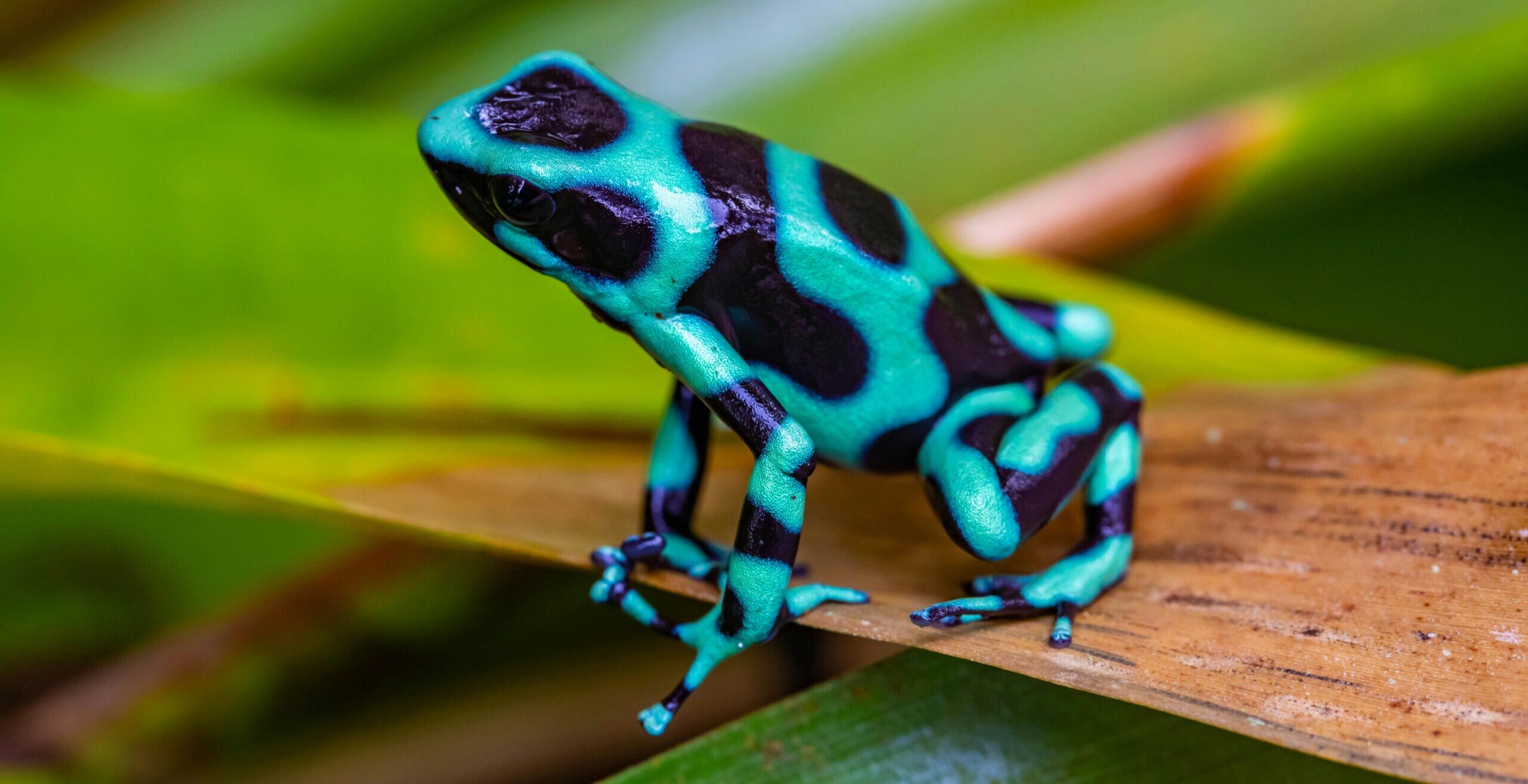 Imagen del bloque de resumen