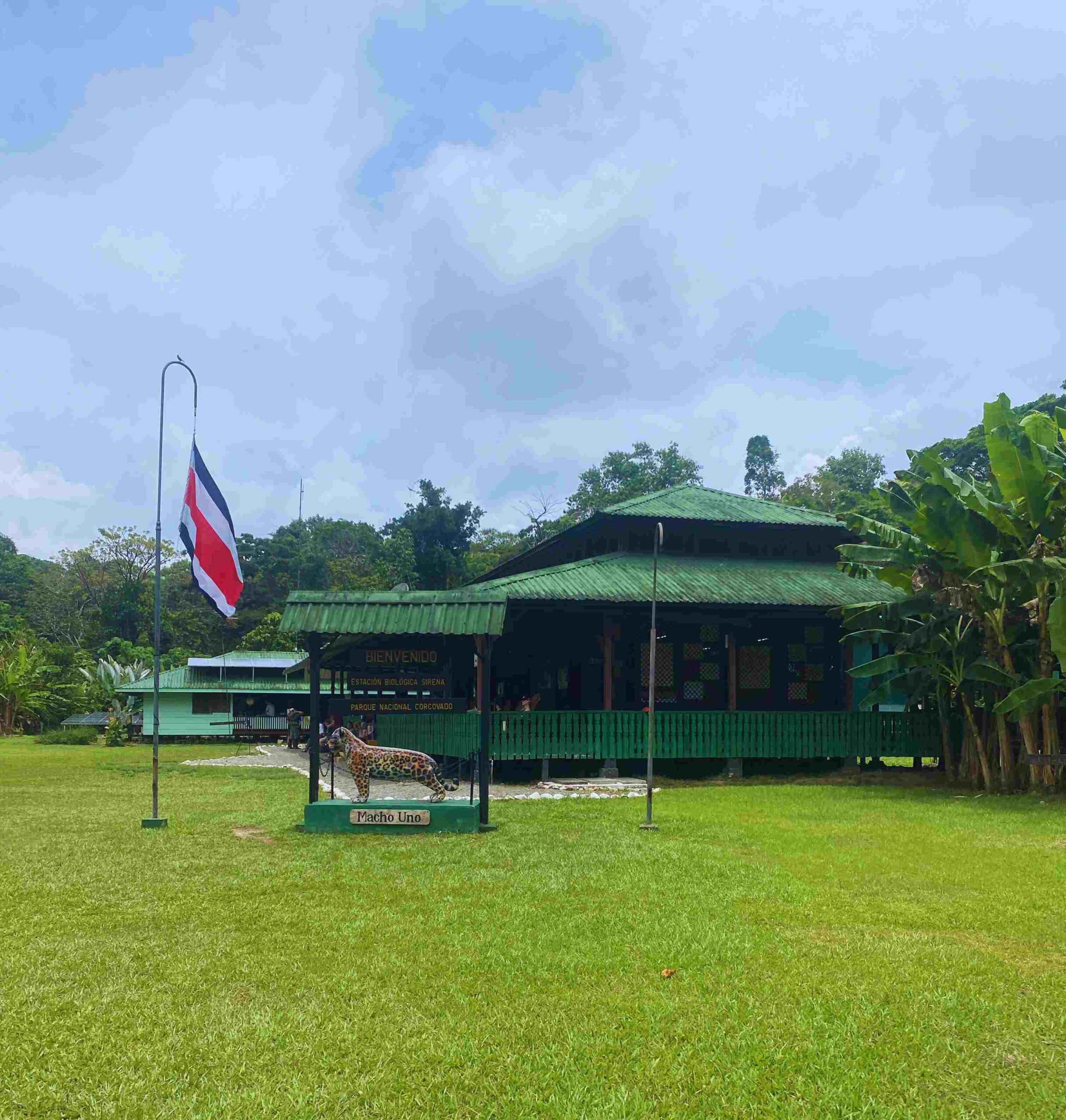 Noche en el Parque Nacional Corcovado